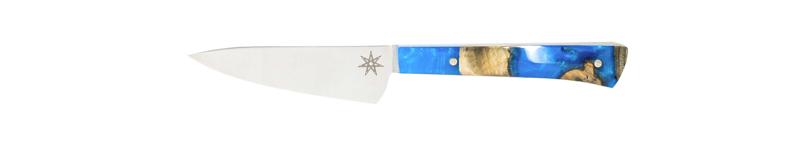 Stainless steel kitchen paring knife with a blue resin and wood handle on a white background.